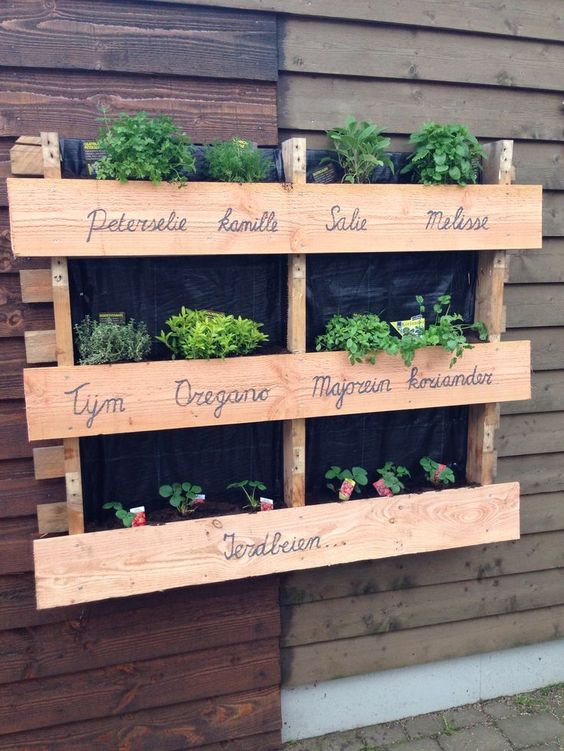 Gardening as a Family Bonding Activity in Canada - Featured Image